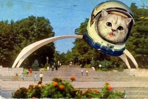 Новини Вінниці - фото з «Щедрик» з Аркою не можна поєднувати — архітектори «Щедрик» з Аркою не можна поєднувати — архітектори, фото №10 на сайті 20minut.ua