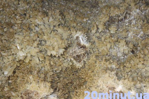 Новини Тернополя - фото з Загублені в печері: як рятували журналістів, які залишились без світла і з кажанами (відео) Загублені в печері: як рятували журналістів, які залишились без світла і з кажанами (відео), фото №4 на сайті 20minut.ua