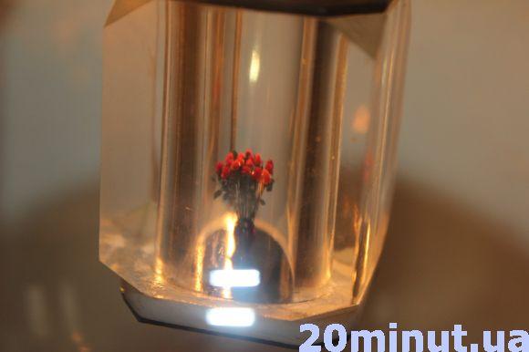 Новини Тернополя - фото з Восьме чудо світу в Тернополі Восьме чудо світу в Тернополі, фото №3 на сайті 20minut.ua