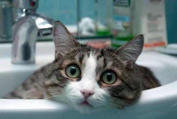 ТОП-5 новин тижня у Кам’янці, які ви могли пропустити, фото №5 на сайті 20minut.ua