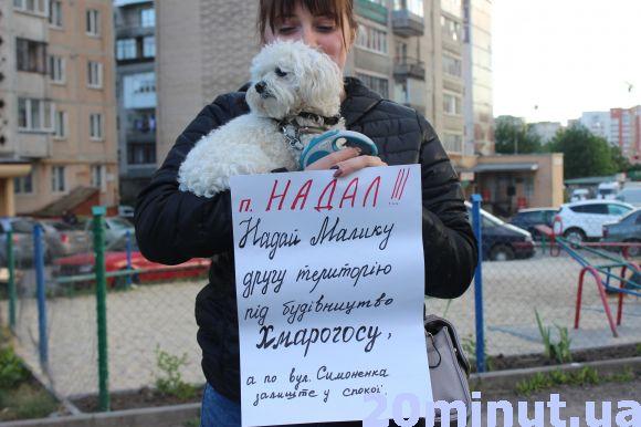 Новини Тернополя - фото з Мешканці "Аляски" перекривали дорогу. Без конфліктів не обійшлося Мешканці "Аляски" перекривали дорогу. Без конфліктів не обійшлося, фото №3 на сайті 20minut.ua