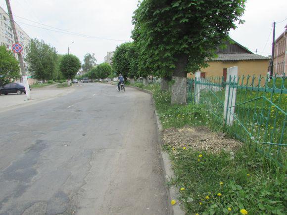 У тирсу хочуть посадити саджанці?, фото №1 на сайті 20minut.ua