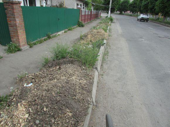 У тирсу хочуть посадити саджанці?, фото №3 на сайті 20minut.ua