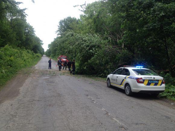 Новини Вінниці - фото з На Вінниччині четверо рятувальників прибирали повалене дерево з дороги На Вінниччині четверо рятувальників прибирали повалене дерево з дороги, фото №4 на сайті 20minut.ua