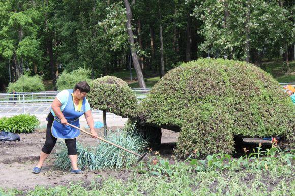 Новини Вінниці - фото з Квітковий «Опель» оновили біля Західного автовокзалу. На черзі — «черепаха» Квітковий «Опель» оновили біля Західного автовокзалу. На черзі — «черепаха», фото №4 на сайті 20minut.ua