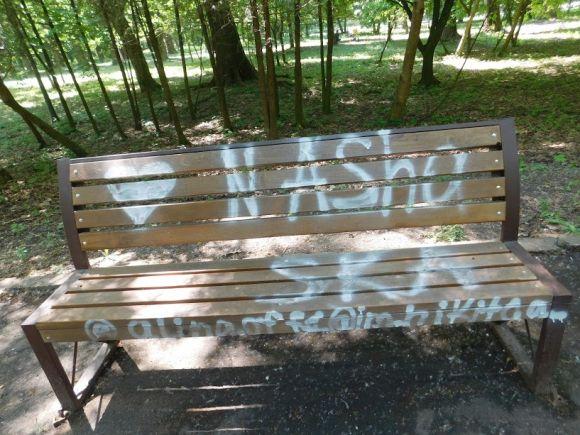 Запланували реконструкцію парку Чекмана. Що треба змінити?, фото №10 на сайті vsim.ua