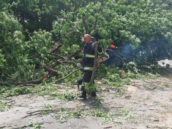 Новини Вінниці - фото з На Вінниччині четверо рятувальників прибирали повалене дерево з дороги На Вінниччині четверо рятувальників прибирали повалене дерево з дороги, фото №2 на сайті 20minut.ua