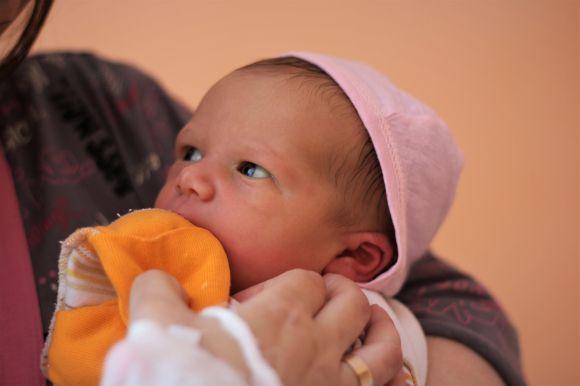 Новини Вінниці - фото з Маленькі патріоти: як виглядають вінницькі немовлята у вишиванках Маленькі патріоти: як виглядають вінницькі немовлята у вишиванках, фото №3 на сайті 20minut.ua