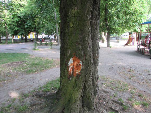 Новини Козятина - фото з Разом захистимо парк! В суботу о 10.00 Разом захистимо парк! В суботу о 10.00, фото №2 на сайті 20minut.ua