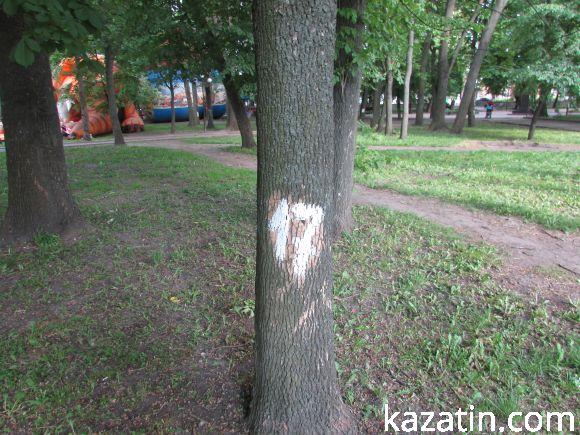 Новини Козятина - фото з Разом захистимо парк! В суботу о 10.00 Разом захистимо парк! В суботу о 10.00, фото №23 на сайті 20minut.ua