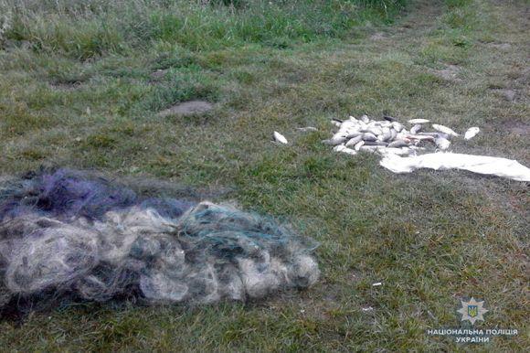 У Летичеві упіймали любителя "кримінальної" риболовлі, фото №1 на сайті vsim.ua
