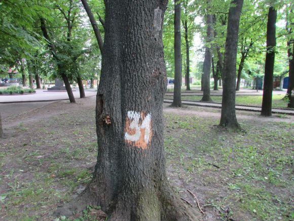 Новини Козятина - фото з Разом захистимо парк! В суботу о 10.00 Разом захистимо парк! В суботу о 10.00, фото №16 на сайті 20minut.ua