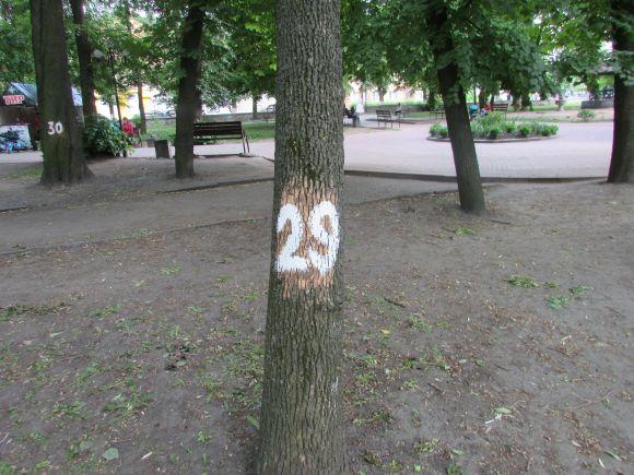 Новини Козятина - фото з Разом захистимо парк! В суботу о 10.00 Разом захистимо парк! В суботу о 10.00, фото №14 на сайті 20minut.ua