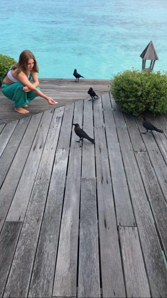 Новини Вінниці - фото з Удвох на Мальдівах! Продюсер «ТІК» Олег Збаращук і зірка «Дизель Шоу» Яна Глущенко влаштували собі другий «медовий тиждень» Удвох на Мальдівах! Продюсер «ТІК» Олег Збаращук і зірка «Дизель Шоу» Яна Глущенко влаштували собі другий «медовий тиждень», фото №4 на сайті 20minut.ua