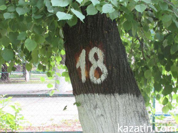 Новини Козятина - фото з Разом захистимо парк! В суботу о 10.00 Разом захистимо парк! В суботу о 10.00, фото №21 на сайті 20minut.ua