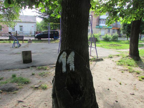 Новини Козятина - фото з Разом захистимо парк! В суботу о 10.00 Разом захистимо парк! В суботу о 10.00, фото №3 на сайті 20minut.ua