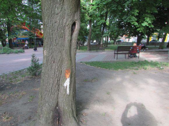 Новини Козятина - фото з Разом захистимо парк! В суботу о 10.00 Разом захистимо парк! В суботу о 10.00, фото №5 на сайті 20minut.ua