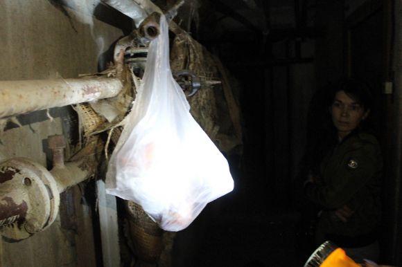 Новини Вінниці - фото з Історія «Великої родини-240»: при ОСББ стало тільки гірше Історія «Великої родини-240»: при ОСББ стало тільки гірше, фото №3 на сайті 20minut.ua