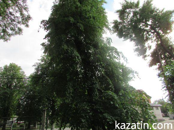 Новини Козятина - фото з Разом захистимо парк! В суботу о 10.00 Разом захистимо парк! В суботу о 10.00, фото №22 на сайті 20minut.ua