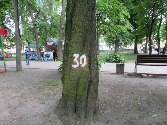 Новини Козятина - фото з Разом захистимо парк! В суботу о 10.00 Разом захистимо парк! В суботу о 10.00, фото №15 на сайті 20minut.ua