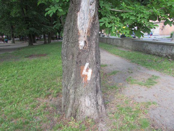 Новини Козятина - фото з Разом захистимо парк! В суботу о 10.00 Разом захистимо парк! В суботу о 10.00, фото №11 на сайті 20minut.ua