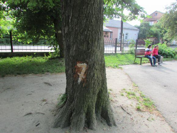 Новини Козятина - фото з Разом захистимо парк! В суботу о 10.00 Разом захистимо парк! В суботу о 10.00, фото №7 на сайті 20minut.ua