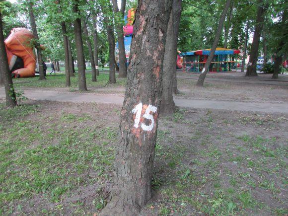 Новини Козятина - фото з Разом захистимо парк! В суботу о 10.00 Разом захистимо парк! В суботу о 10.00, фото №13 на сайті 20minut.ua