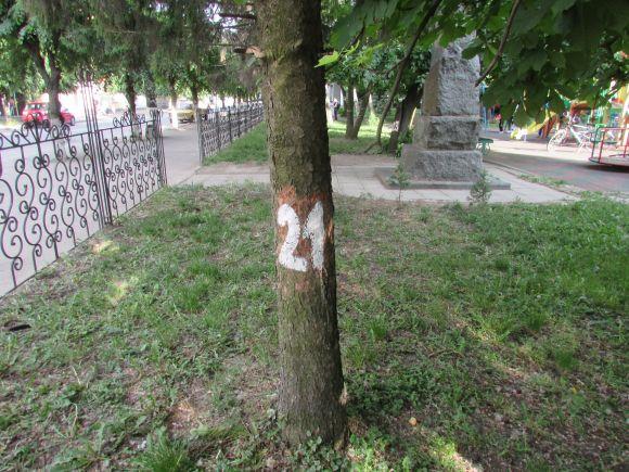 Новини Козятина - фото з Разом захистимо парк! В суботу о 10.00 Разом захистимо парк! В суботу о 10.00, фото №26 на сайті 20minut.ua