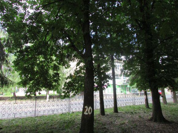 Новини Козятина - фото з Разом захистимо парк! В суботу о 10.00 Разом захистимо парк! В суботу о 10.00, фото №24 на сайті 20minut.ua