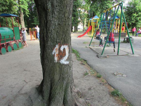 Новини Козятина - фото з Разом захистимо парк! В суботу о 10.00 Разом захистимо парк! В суботу о 10.00, фото №4 на сайті 20minut.ua