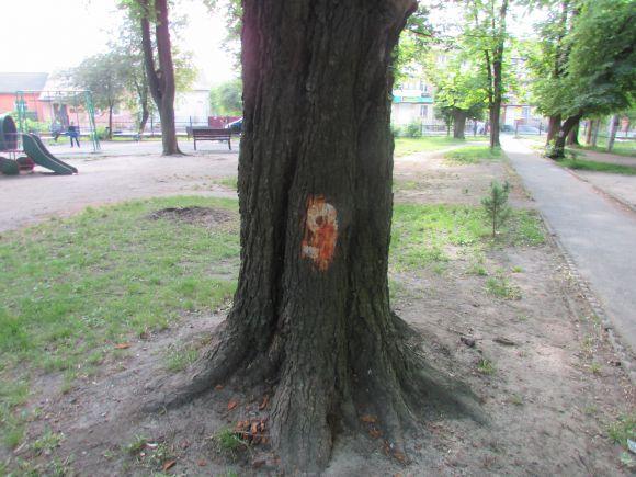 Новини Козятина - фото з Разом захистимо парк! В суботу о 10.00 Разом захистимо парк! В суботу о 10.00, фото №1 на сайті 20minut.ua