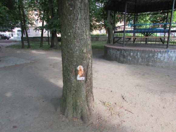 Новини Козятина - фото з Разом захистимо парк! В суботу о 10.00 Разом захистимо парк! В суботу о 10.00, фото №6 на сайті 20minut.ua