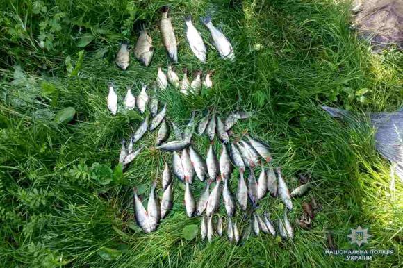 Новини Хмельницького - фото з У Новоушицькому районі спіймали браконьєра з повними сітками У Новоушицькому районі спіймали браконьєра з повними сітками, фото №1 на сайті vsim.ua