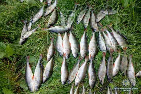 Новини Хмельницького - фото з У Новоушицькому районі спіймали браконьєра з повними сітками У Новоушицькому районі спіймали браконьєра з повними сітками, фото №2 на сайті vsim.ua