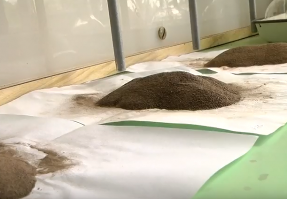 Новини Вінниці - фото з Купатися у Південному Бузі не варто. Воду визнали непридатною, а в ґрунті знайшли яйця аскарид Купатися у Південному Бузі не варто. Воду визнали непридатною, а в ґрунті знайшли яйця аскарид, фото №2 на сайті 20minut.ua