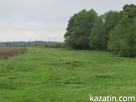 Новини Козятина - фото з Виорали пасовисько, а в сільраді не знають, хто Виорали пасовисько, а в сільраді не знають, хто, фото №1 на сайті 20minut.ua