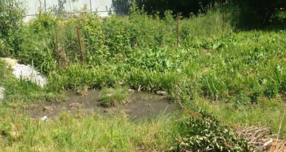 Новини Вінниці - фото з Вінниця 24 травня: незначні ДТП, двічі гасили займання біля лісу та проблеми з вигрібними ямами Вінниця 24 травня: незначні ДТП, двічі гасили займання біля лісу та проблеми з вигрібними ямами, фото №6 на сайті 20minut.ua