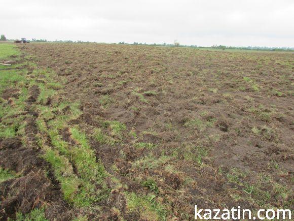 Новини Козятина - фото з Виорали пасовисько, а в сільраді не знають, хто Виорали пасовисько, а в сільраді не знають, хто, фото №9 на сайті 20minut.ua