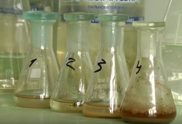 Новини Вінниці - фото з Купатися у Південному Бузі не варто. Воду визнали непридатною, а в ґрунті знайшли яйця аскарид Купатися у Південному Бузі не варто. Воду визнали непридатною, а в ґрунті знайшли яйця аскарид, фото №1 на сайті 20minut.ua