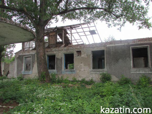 Новини Козятина - фото з Виорали пасовисько, а в сільраді не знають, хто Виорали пасовисько, а в сільраді не знають, хто, фото №10 на сайті 20minut.ua