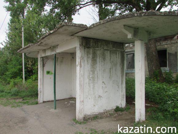 Новини Козятина - фото з Виорали пасовисько, а в сільраді не знають, хто Виорали пасовисько, а в сільраді не знають, хто, фото №11 на сайті 20minut.ua