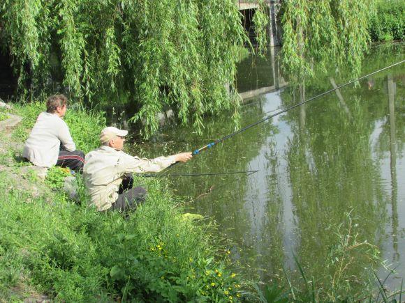 На Водокачці плавають дохлі свині, фото №1 на сайті 20minut.ua