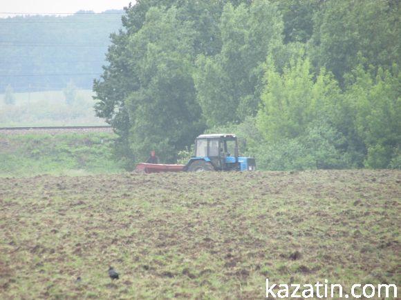 Новини Козятина - фото з Виорали пасовисько, а в сільраді не знають, хто Виорали пасовисько, а в сільраді не знають, хто, фото №3 на сайті 20minut.ua