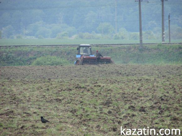 Новини Козятина - фото з Виорали пасовисько, а в сільраді не знають, хто Виорали пасовисько, а в сільраді не знають, хто, фото №4 на сайті 20minut.ua