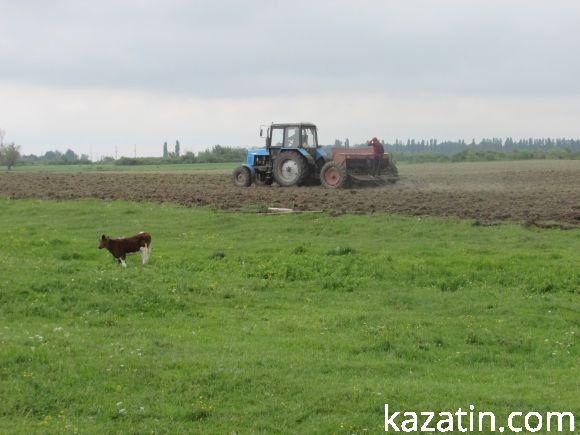 Новини Козятина - фото з Виорали пасовисько, а в сільраді не знають, хто Виорали пасовисько, а в сільраді не знають, хто, фото №2 на сайті 20minut.ua