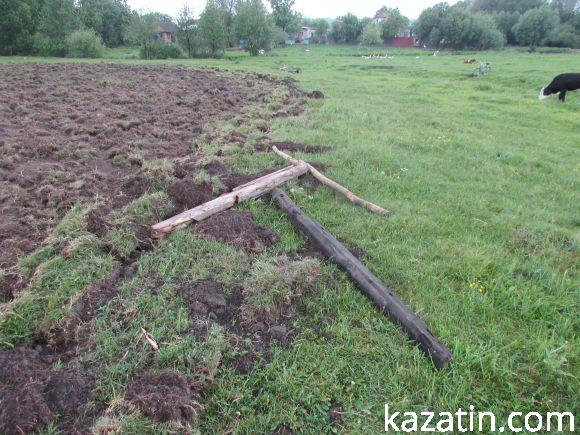 Новини Козятина - фото з Виорали пасовисько, а в сільраді не знають, хто Виорали пасовисько, а в сільраді не знають, хто, фото №7 на сайті 20minut.ua