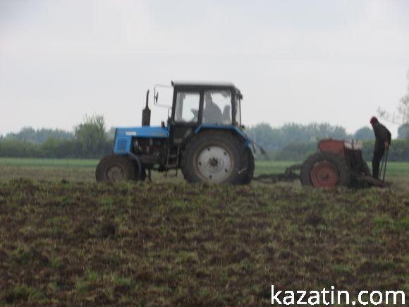 Новини Козятина - фото з Виорали пасовисько, а в сільраді не знають, хто Виорали пасовисько, а в сільраді не знають, хто, фото №8 на сайті 20minut.ua