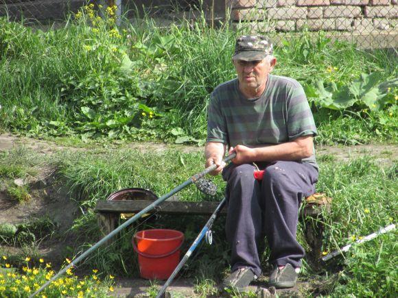 На Водокачці плавають дохлі свині, фото №2 на сайті 20minut.ua