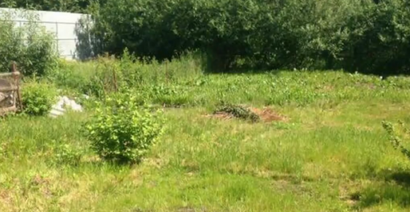 Новини Вінниці - фото з Вінниця 24 травня: незначні ДТП, двічі гасили займання біля лісу та проблеми з вигрібними ямами Вінниця 24 травня: незначні ДТП, двічі гасили займання біля лісу та проблеми з вигрібними ямами, фото №8 на сайті 20minut.ua