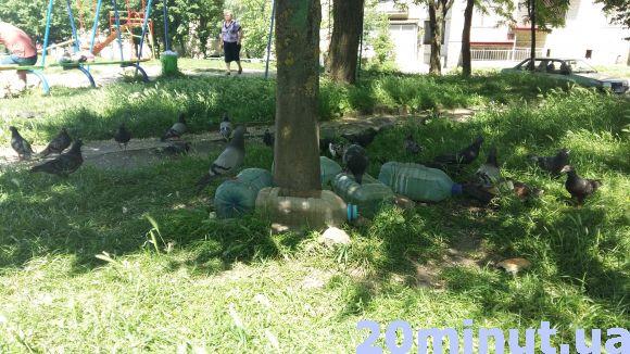 Новини Тернополя - фото з Фото дня: для птахів і тварин у дворі поставили пляшки з водою Фото дня: для птахів і тварин у дворі поставили пляшки з водою, фото №2 на сайті 20minut.ua
